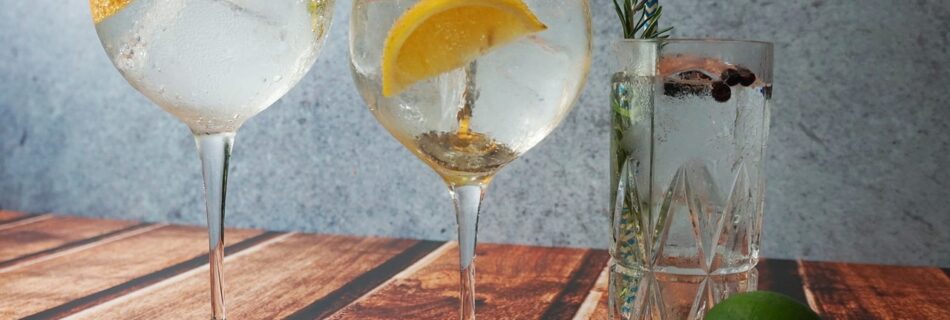 taller de gin tonic taller de vermut